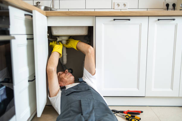 Best Commercial Plumbing Services  in Carlsbad, NM